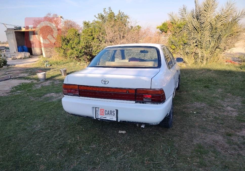 تويوتا كورولا